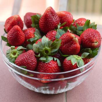 红草莓种子 白草莓种子 阳台盆栽蔬菜蔬果种子 庭院水果蔬菜种子 奶油