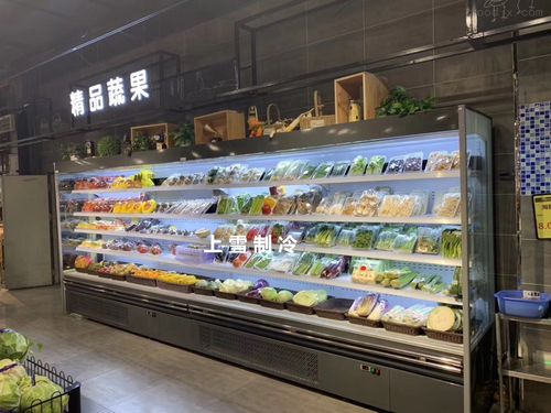 温州哪里有卖生鲜超市蔬菜水果保鲜柜立风柜